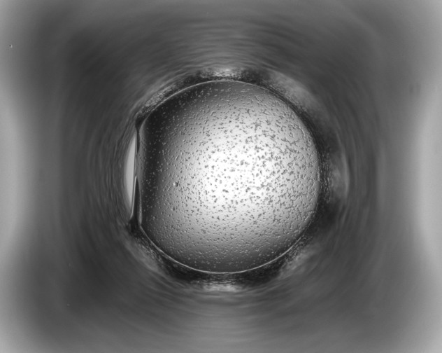 X0000085070262200703191308