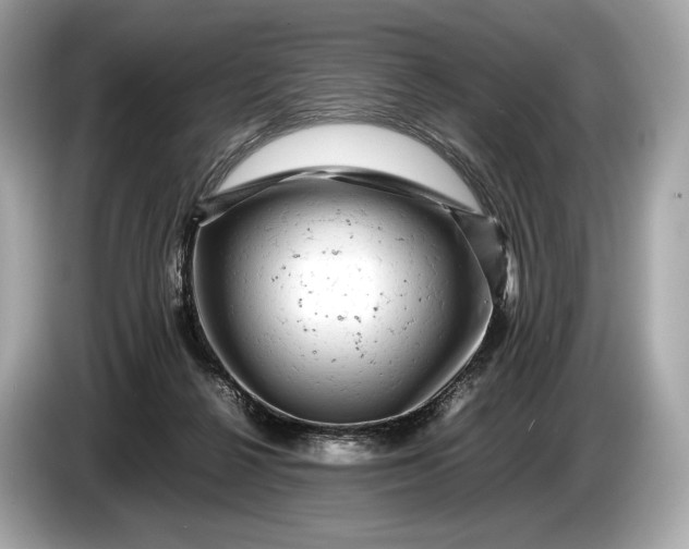 X0000085070264200703191308