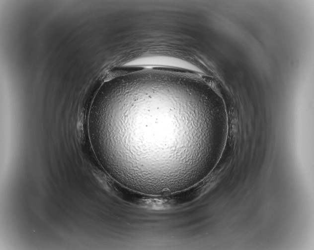 X0000085070265200703191308