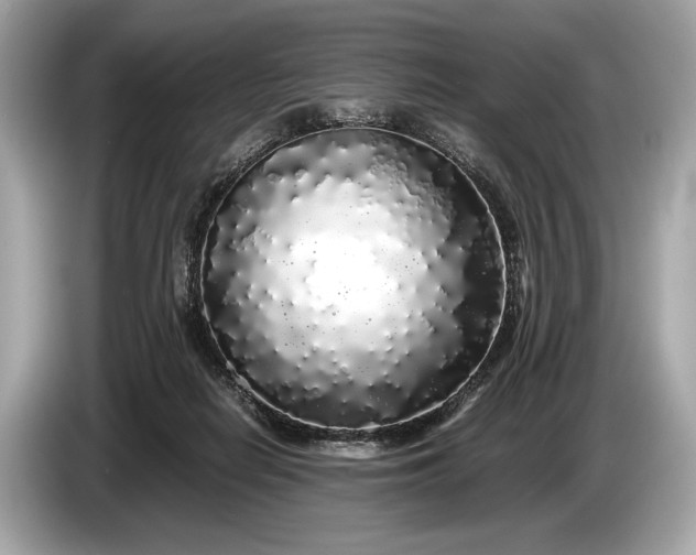 X0000085070266200703191308