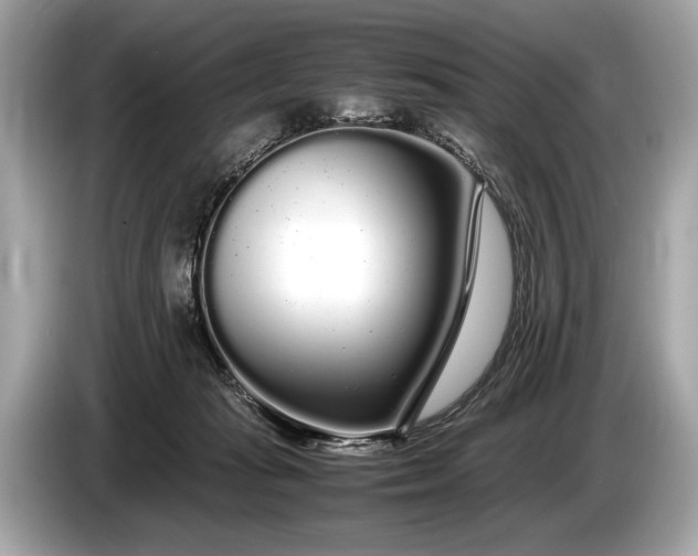 X0000085070269200703191308