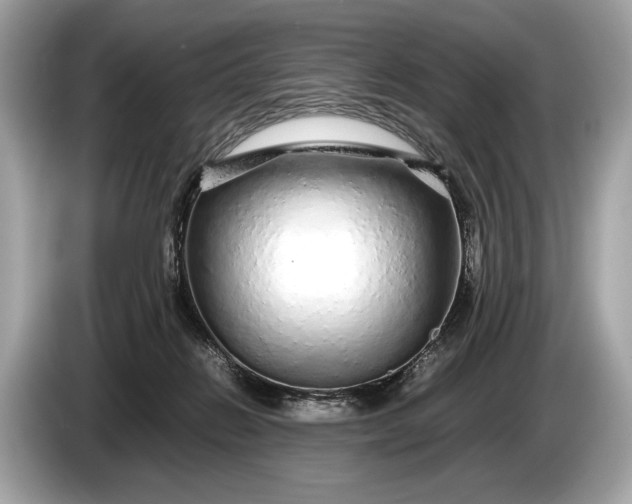 X0000085070270200703191308