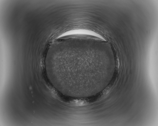 X0000085070272200703191308