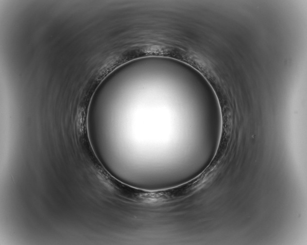 X0000085070273200703191308