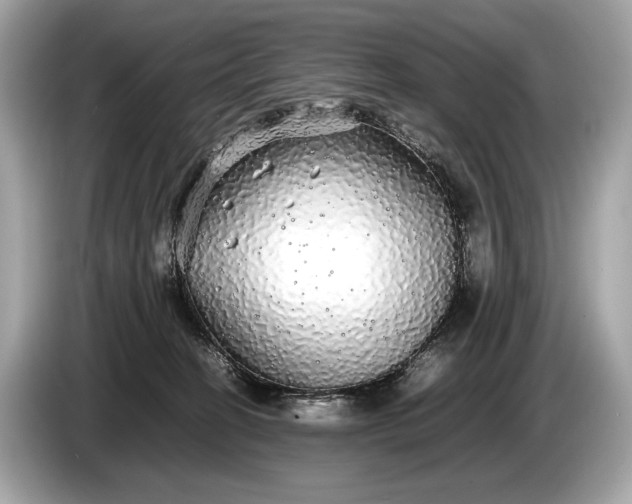 X0000085070274200703191308