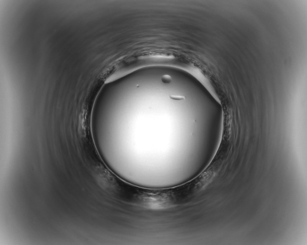 X0000085070275200703191308