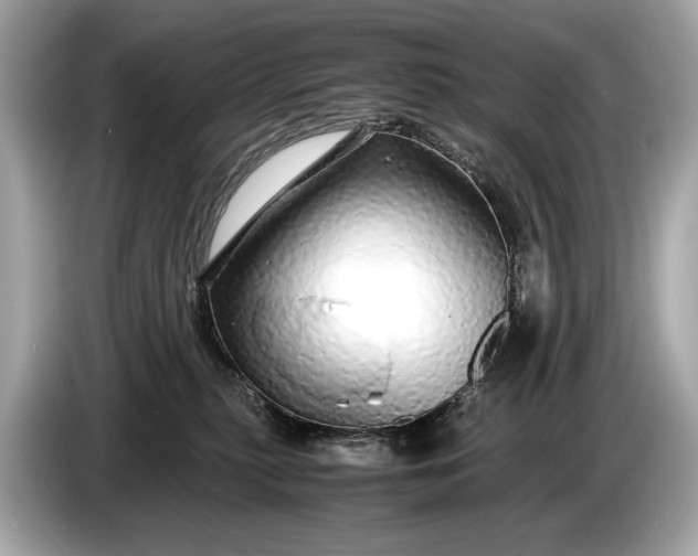 X0000085070279200703191308