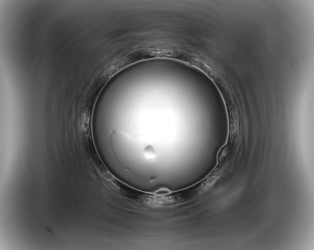 X0000085070281200703191308