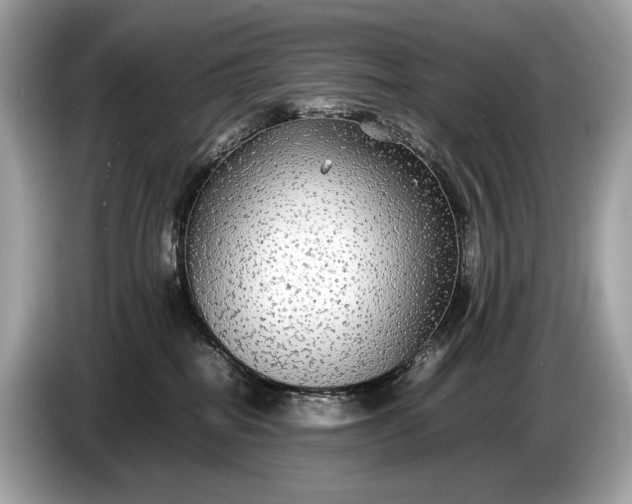 X0000085070282200703191308