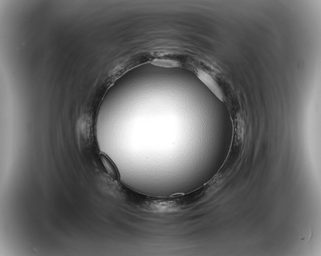 X0000085070283200703191308