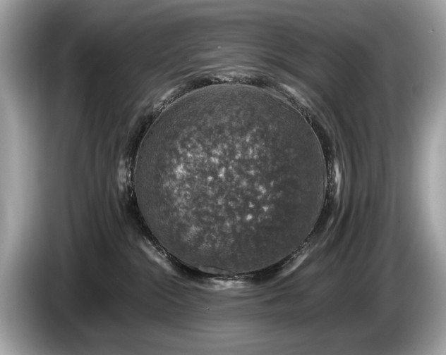 X0000085070284200703191308