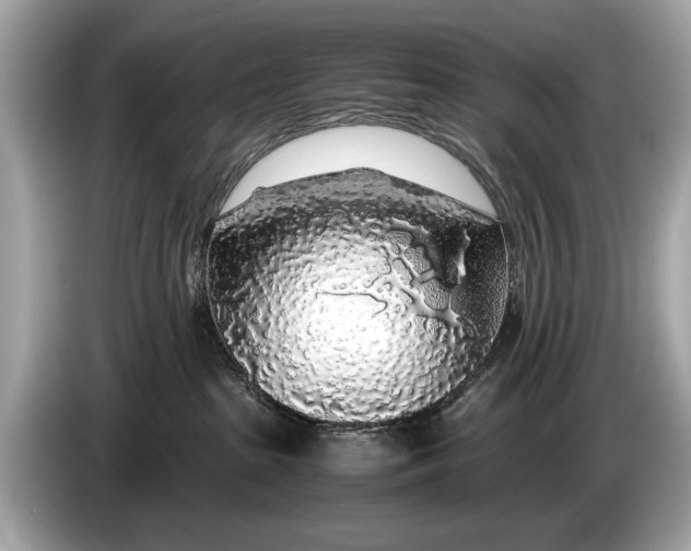 X0000085070285200703191308