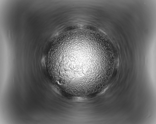 X0000085070286200703191308