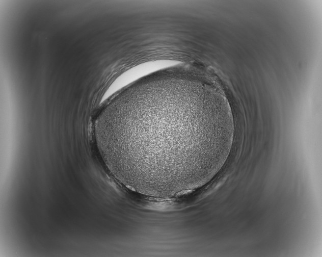 X0000085070288200703191308