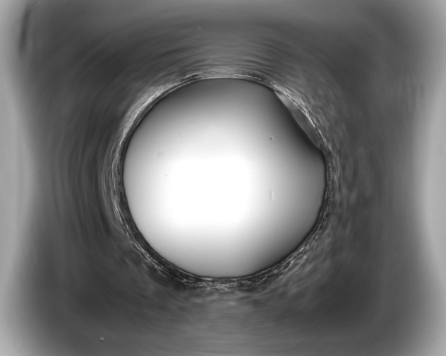 X0000085070289200703191308