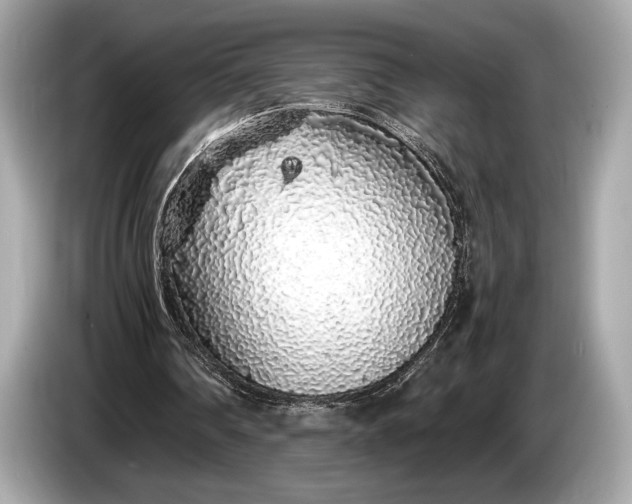 X0000085070290200703191307