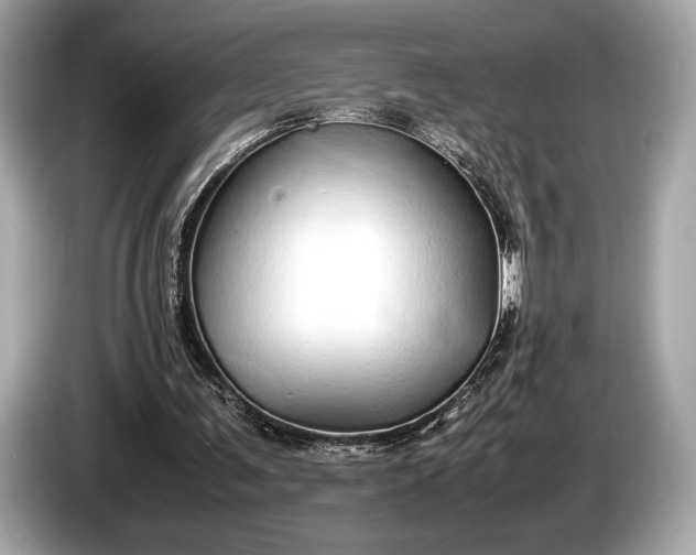 X0000085070291200703191307