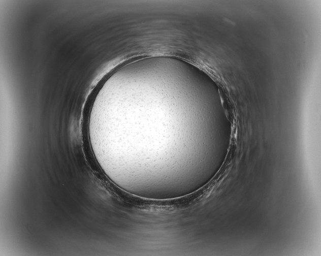 X0000085070292200703191307