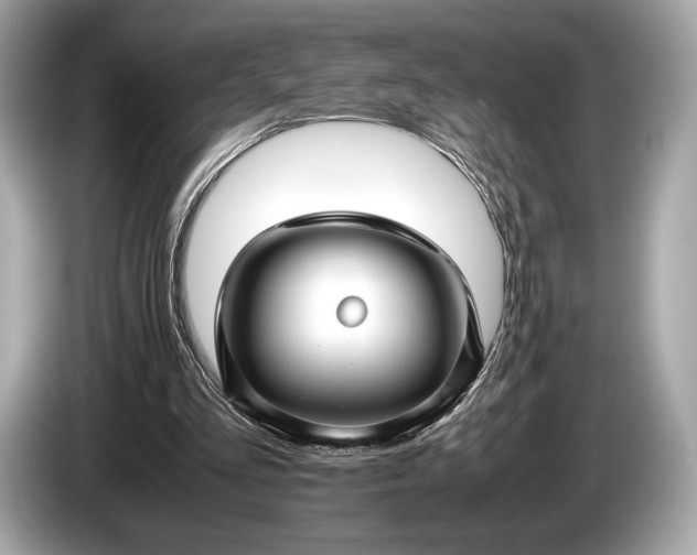 X0000085070293200703191307