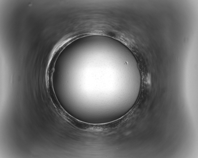 X0000085070294200703191307