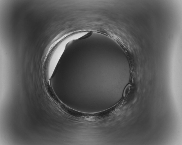 X0000085070295200703191307