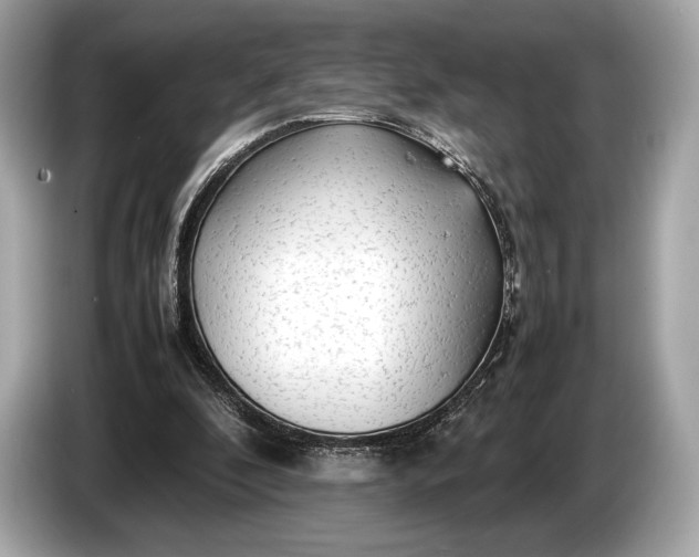 X0000085070296200703191307