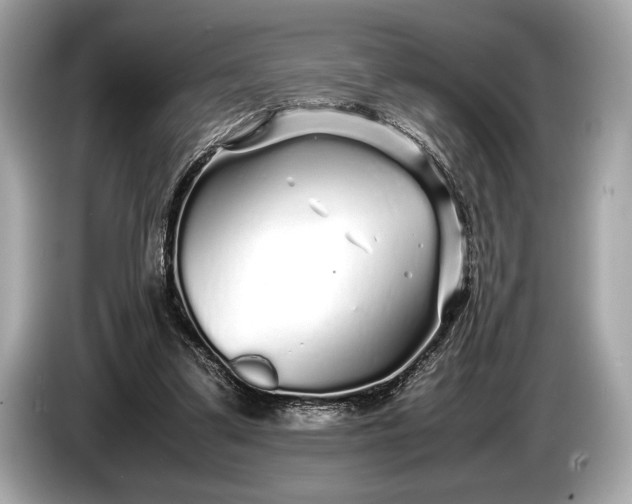 X0000085070299200703191307