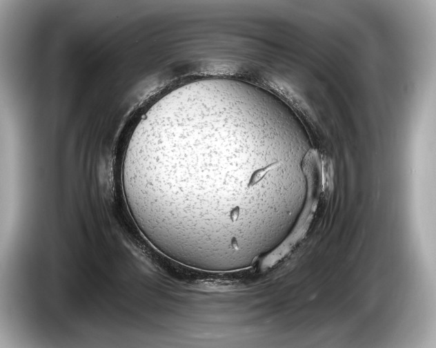 X0000085070300200703191307