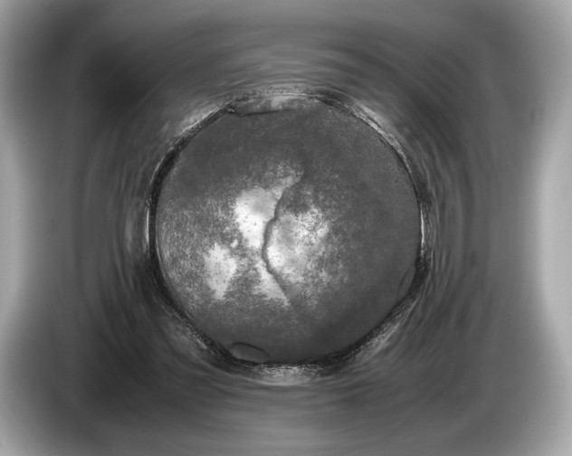 X0000085070301200703191307