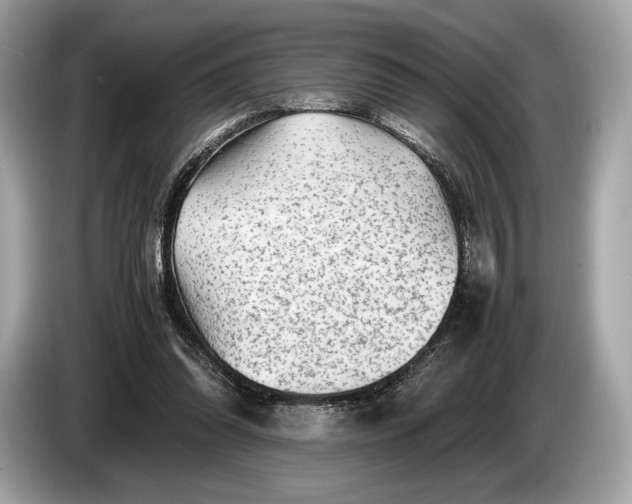 X0000085070302200703191307