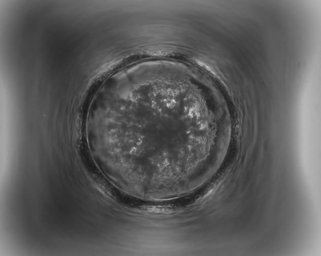 X0000085070303200703191307