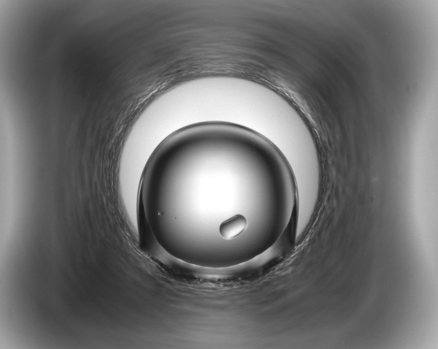 X0000085070305200703191307