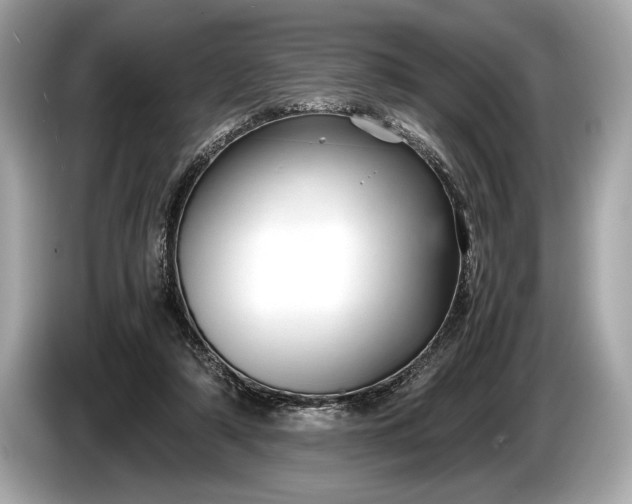 X0000085070306200703191307