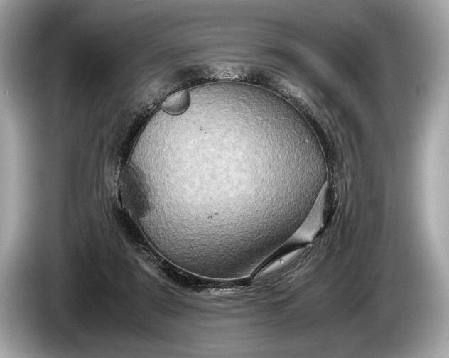 X0000085070307200703191307