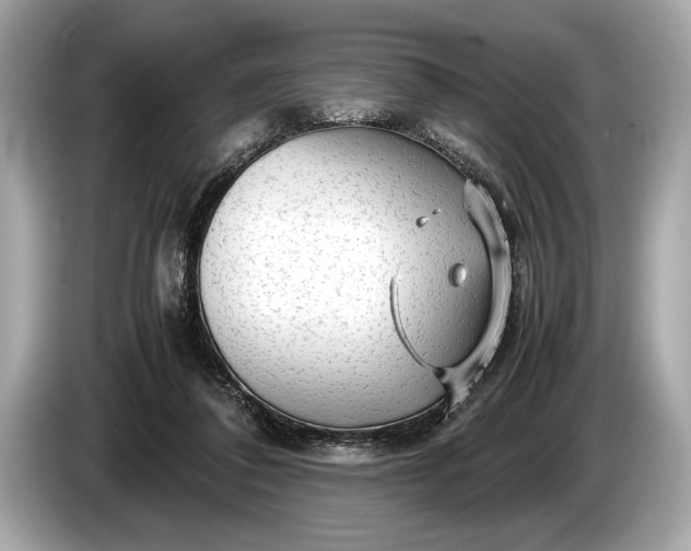 X0000085070308200703191307