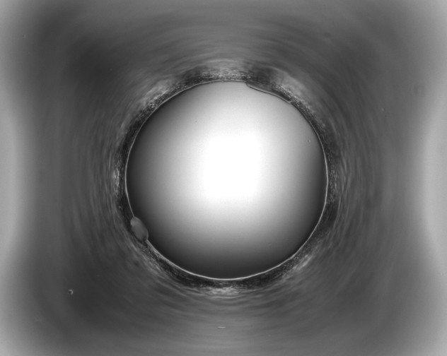 X0000085070309200703191307