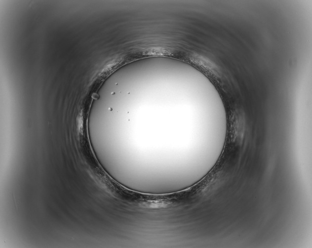 X0000085070310200703191307