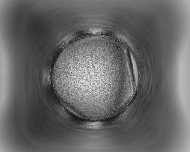 X0000085070313200703191307