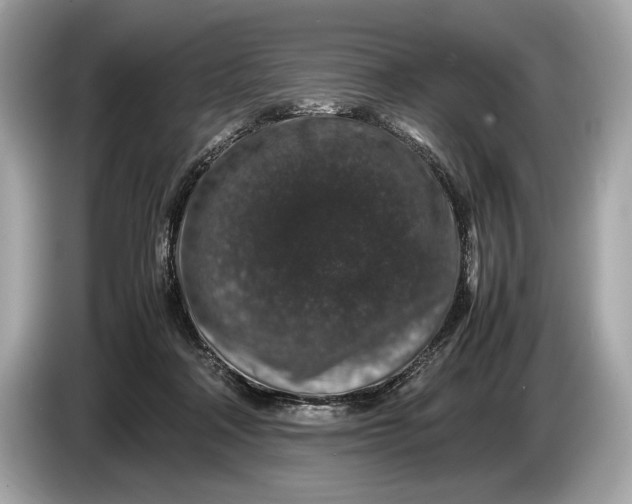 X0000085070314200703191307