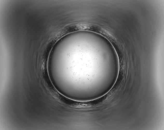 X0000085070315200703191307