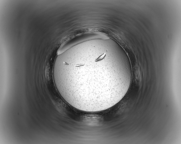 X0000085070316200703191307