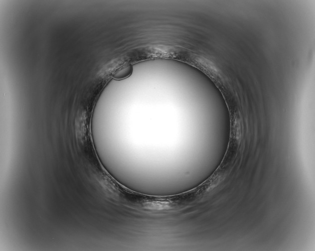 X0000085070318200703191307