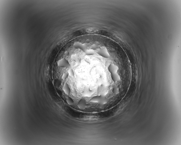 X0000085070319200703191307