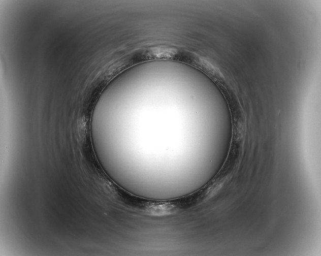 X0000085070321200703191307