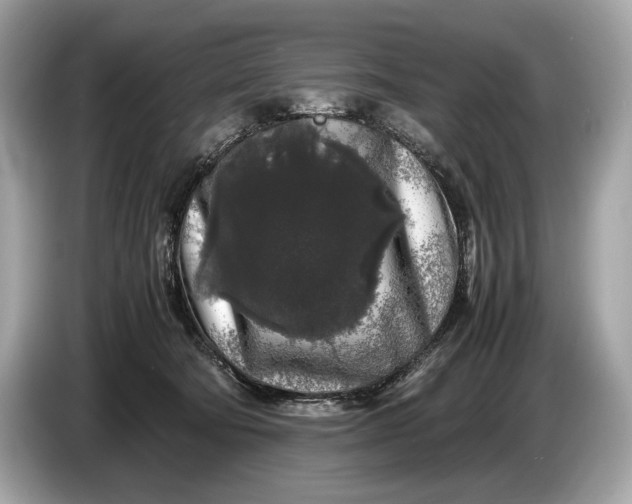 X0000085070322200703191307