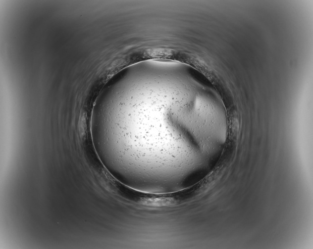 X0000085070323200703191307