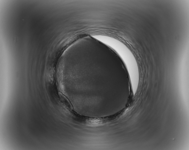 X0000085070325200703191307