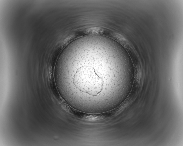 X0000085070326200703191307