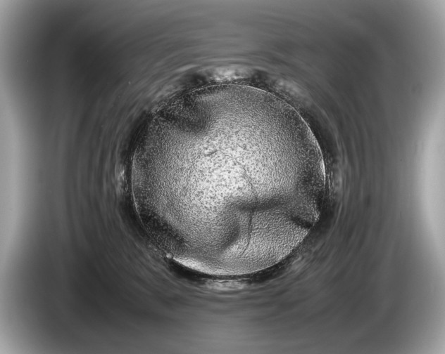 X0000085070327200703191307