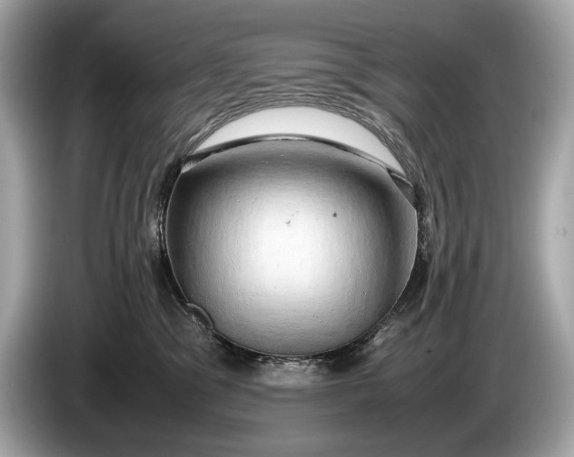 X0000085070329200703191307